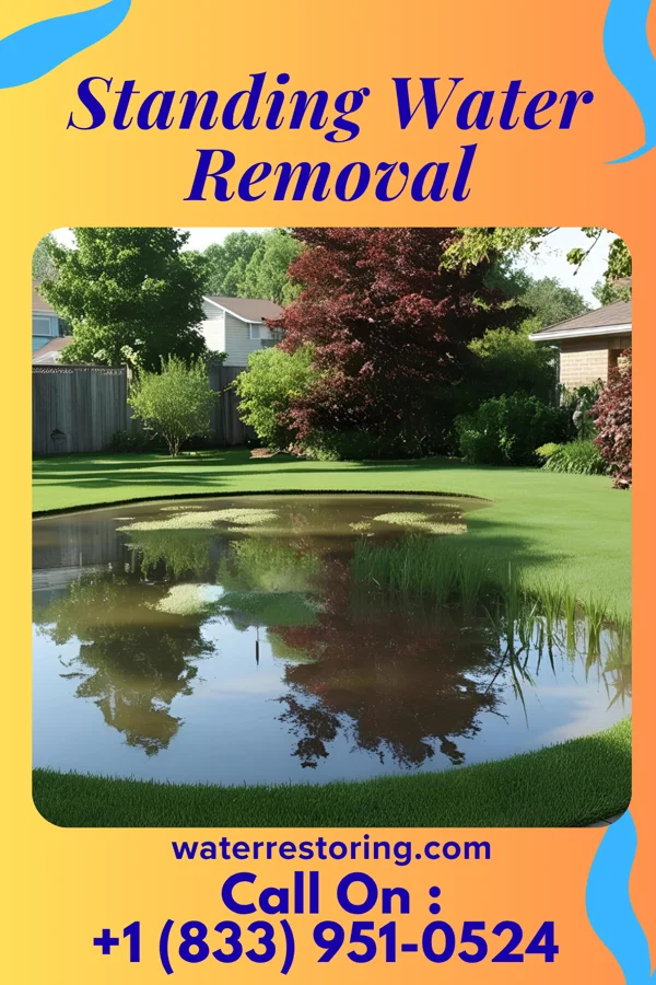 Standing Water Removal in New London, WI